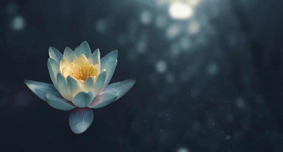 Gewohnheiten beim Erreichen von Zielen